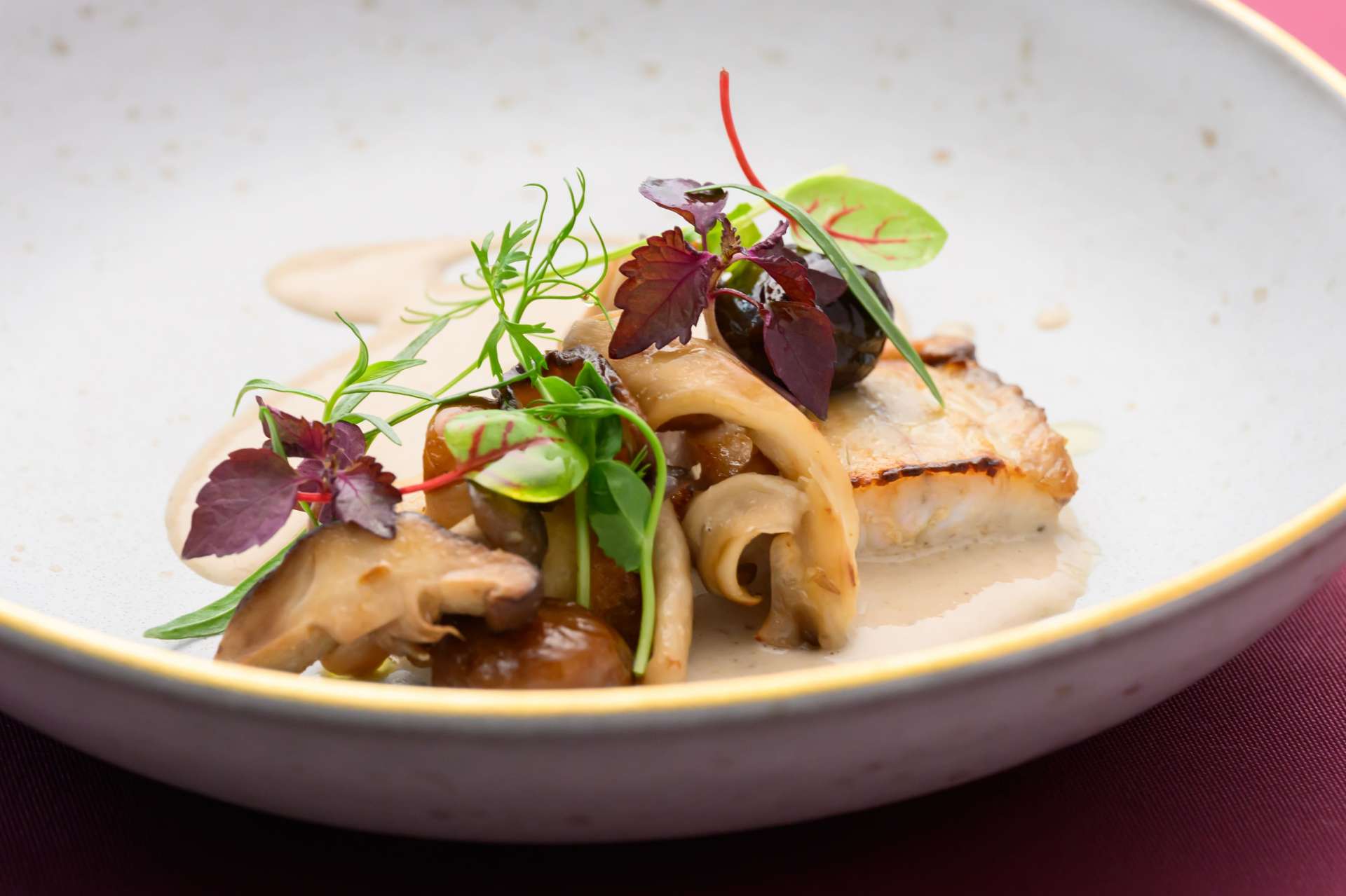 Seasonal fish from Noto, chestnut and mushroom velouté