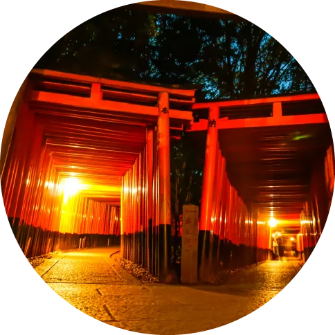 ナイト参拝も神秘的