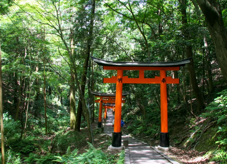 稲荷山ハイキング