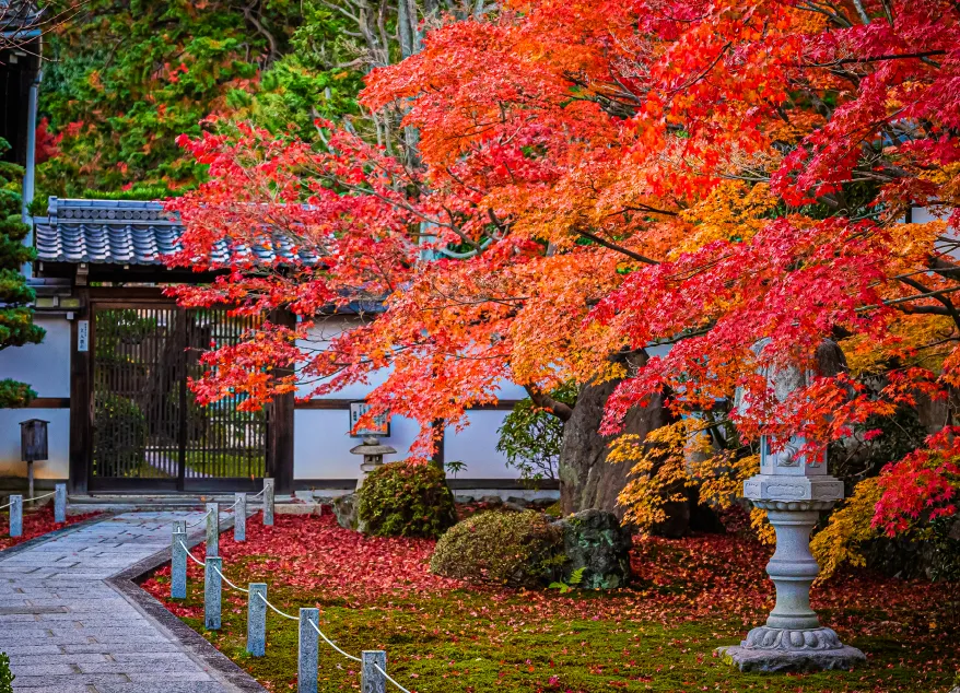紅葉の名所「東福寺」